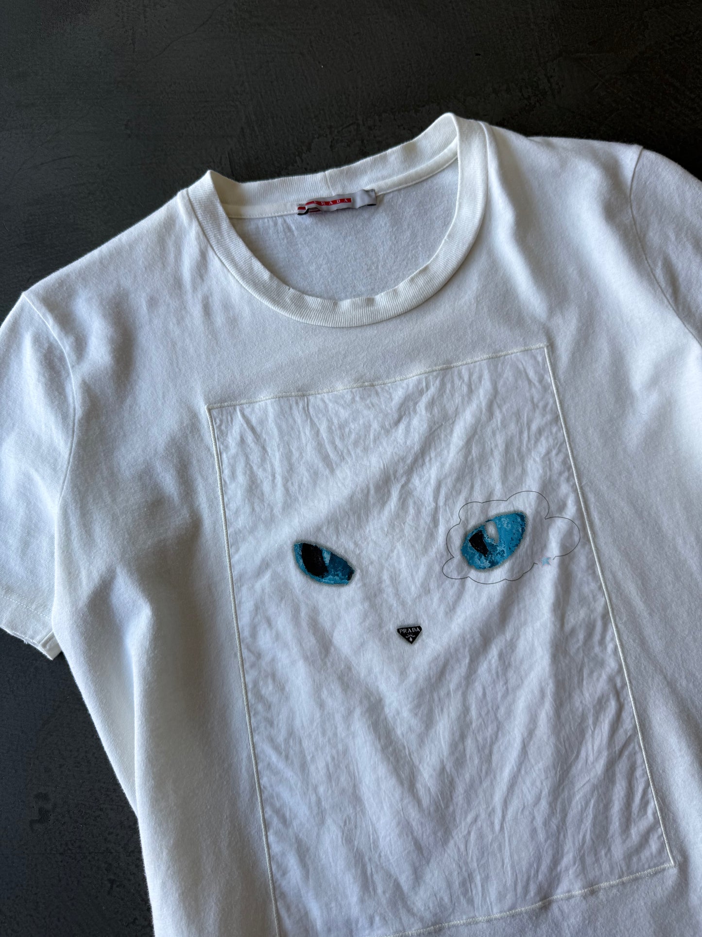 SS 06 Prada Sport x Vinnie Ray Tshirt