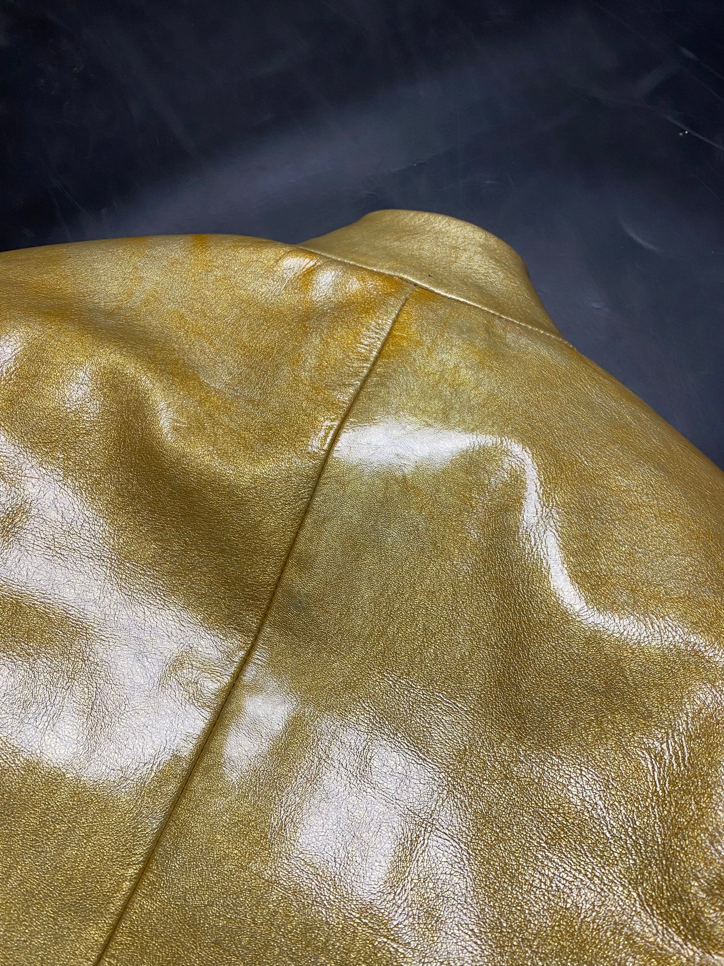 Miu Miu Leather Jacket